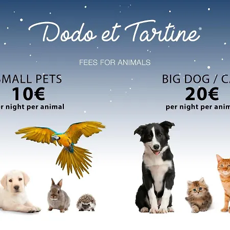Warm House With Swimming Pool And Garden - Dodo Et Tartine ヴィラ イエール