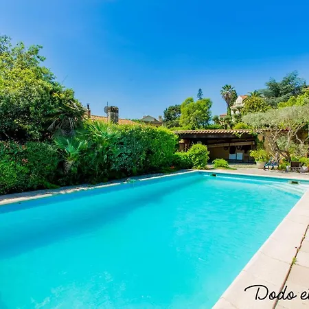 Warm House With Swimming Pool And Garden - Dodo Et Tartine イエール