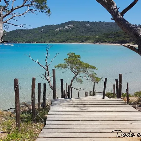 Warm House With Swimming Pool And Garden - Dodo Et Tartine Villa Hyeres